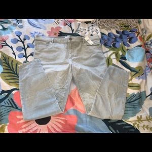 Skinny Brushed Corduroy Pants in Modern